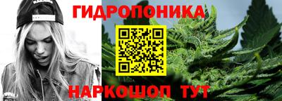 a pvp Ачхой-Мартан